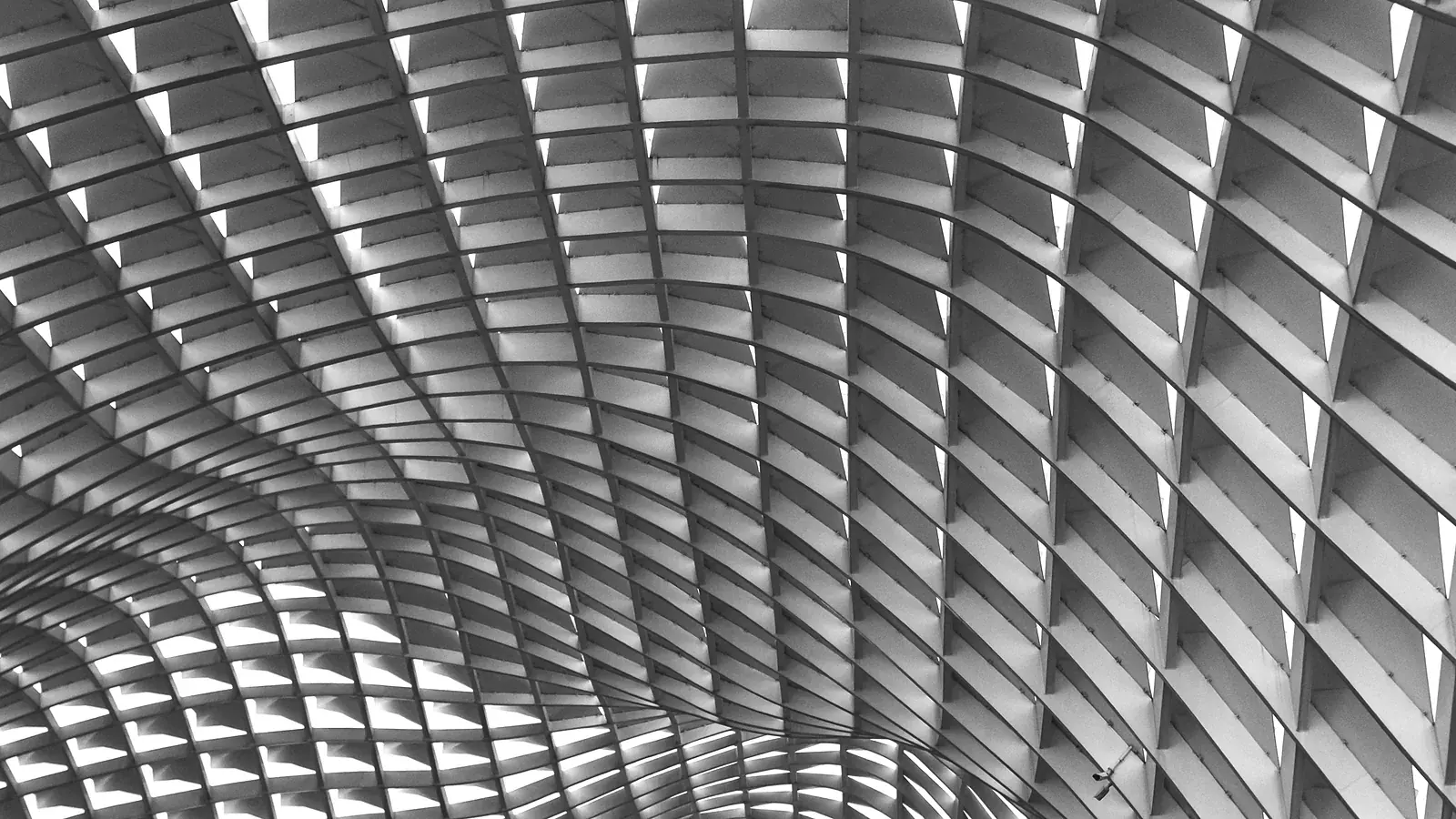 Fund Shares (Feeder) Securitization 1 Interwoven lattice canopy seen from below — fund shares securitization